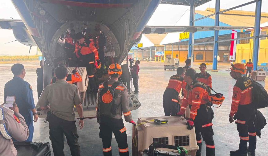Terbang dengan Pesawat Khusus, Polri Kerahkan 10 K9 SAR Berpengalaman ke Flores, Misi Pencarian Korban